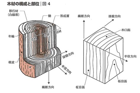 木財|木材の種類と特性